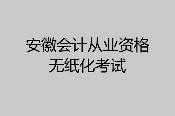 安徽会计从业资格无纸化考试