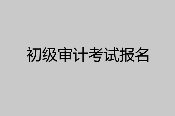 初级审计考试报名