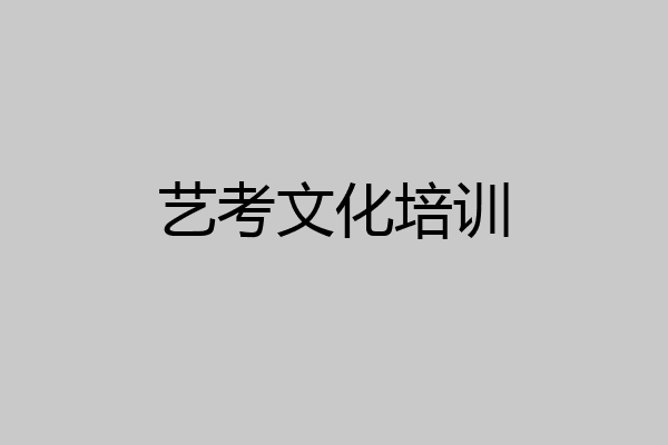艺考文化培训
