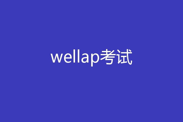 wellap考试