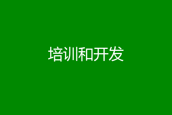 培训和开发