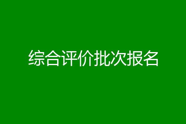 综合评价批次报名