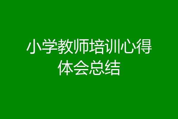 小学教师培训心得体会总结