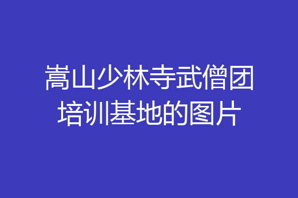 嵩山少林寺武僧团培训基地的图片
