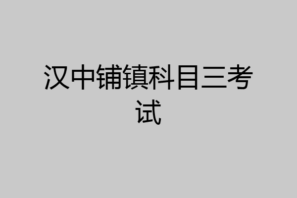 汉中铺镇科目三考试