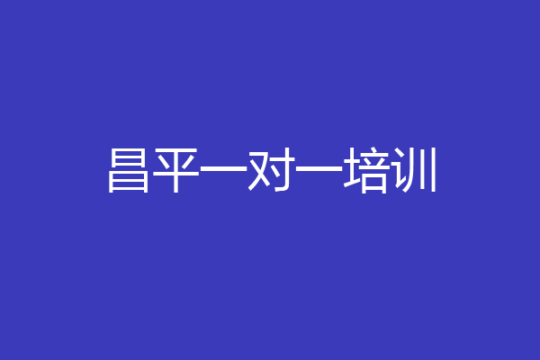 昌平一对一培训