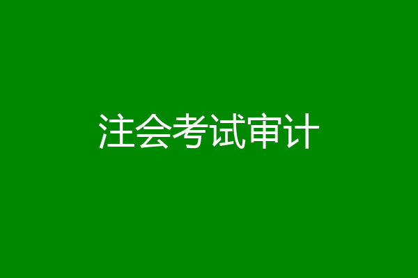 注会考试审计