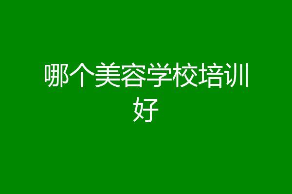 哪个美容学校培训好