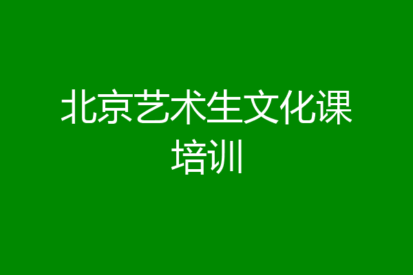 北京艺术生文化课培训
