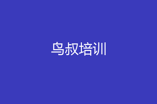 鸟叔培训