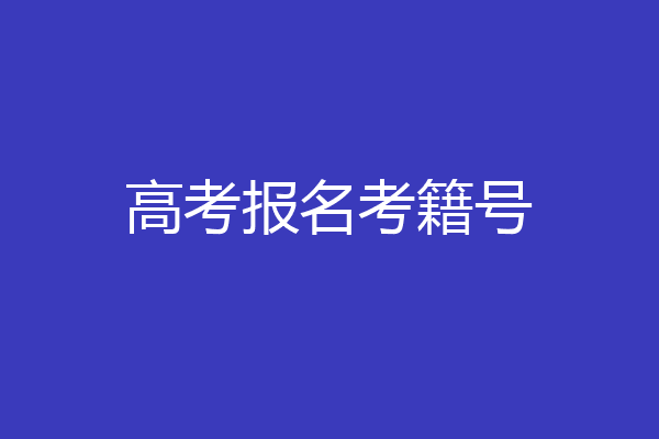 高考报名考籍号