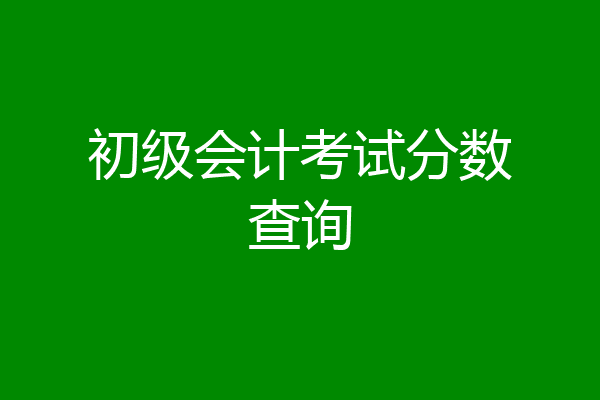 初级会计考试分数查询