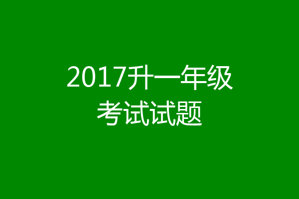 2017升一年级考试试题