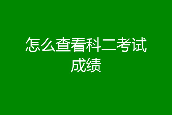 怎么查看科二考试成绩