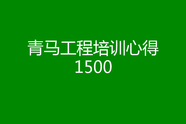 青马工程培训心得1500