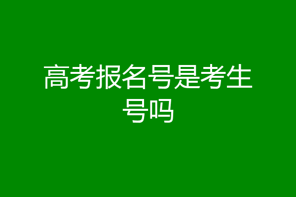 高考报名号是考生号吗