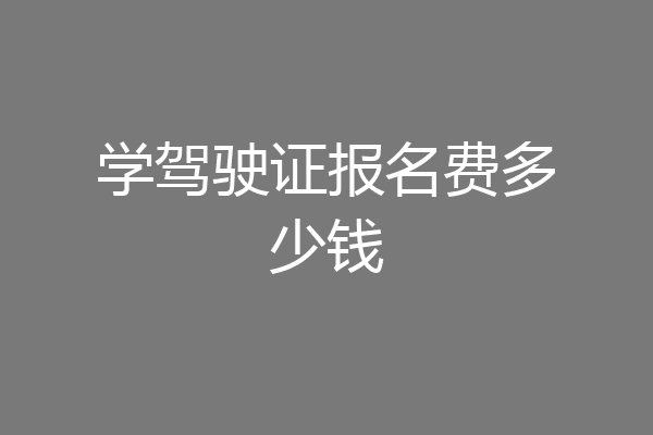 学驾驶证报名费多少钱