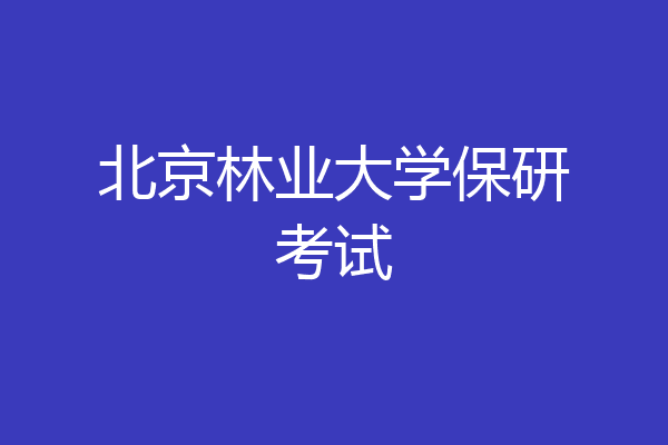 北京林业大学保研考试