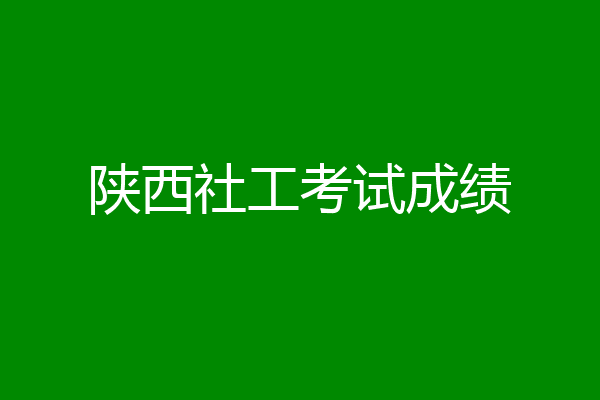 陕西社工考试成绩