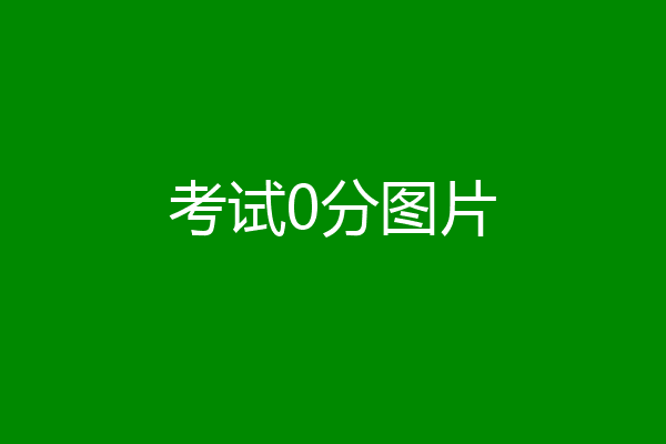 考试0分图片
