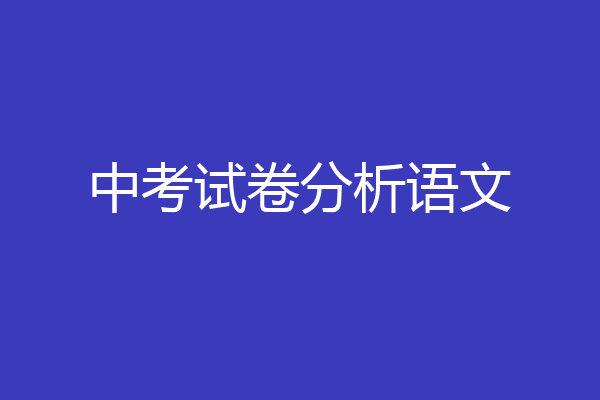 中考试卷分析语文