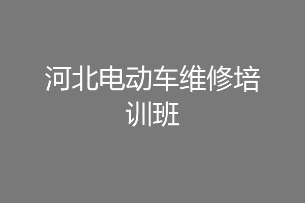 河北电动车维修培训班