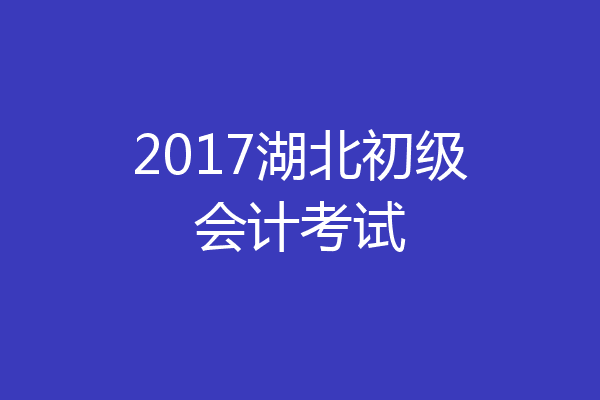 2017湖北初级会计考试
