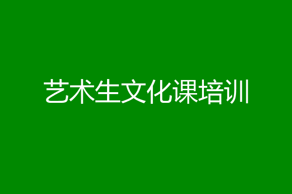 艺术生文化课培训