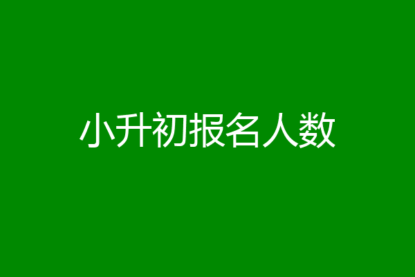 小升初报名人数