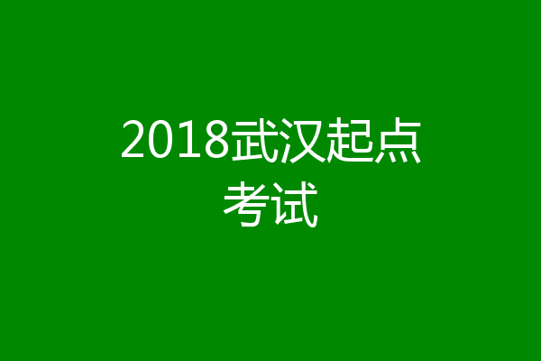 2018武汉起点考试