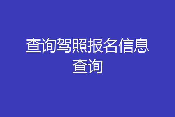 查询驾照报名信息查询