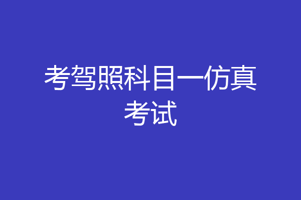 考驾照科目一仿真考试