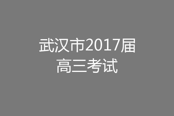 武汉市2017届高三考试