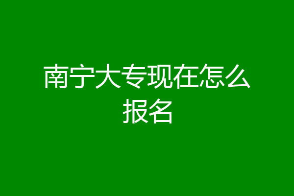 南宁大专现在怎么报名