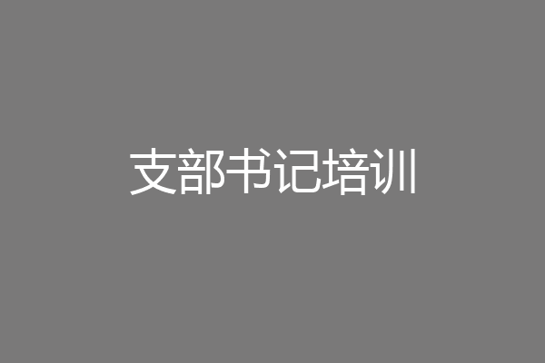 支部书记培训