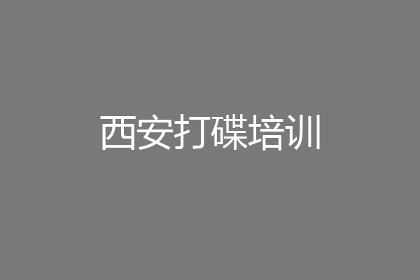 西安打碟培训