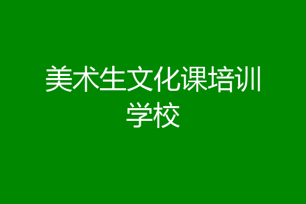 美术生文化课培训学校