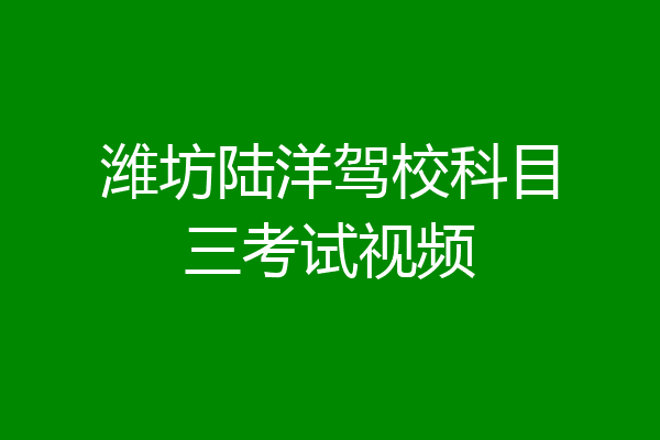 潍坊陆洋驾校科目三考试视频