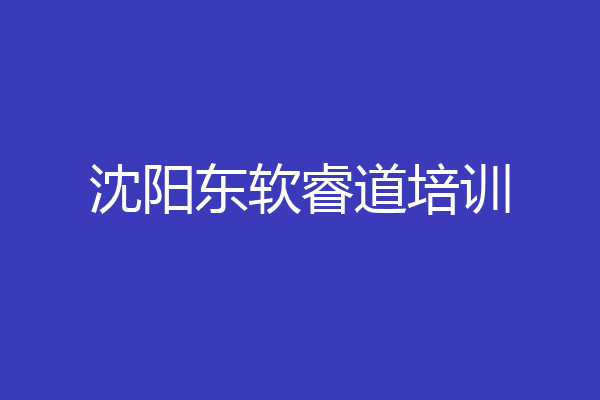 沈阳东软睿道培训