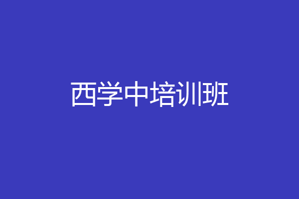 西学中培训班