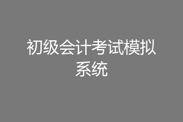 初级会计考试模拟系统