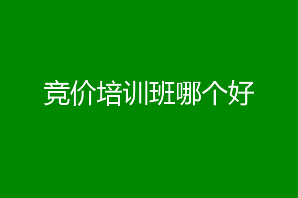 竞价培训班哪个好