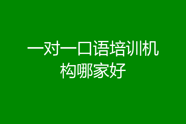一对一口语培训机构哪家好