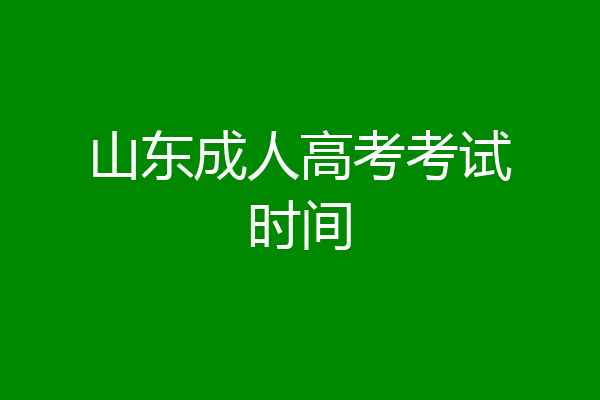 山东成人高考考试时间