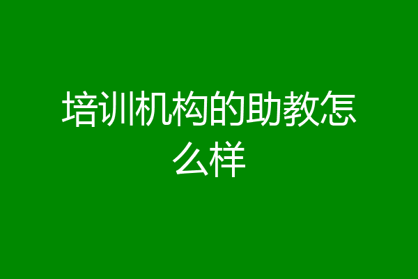 培训机构的助教怎么样