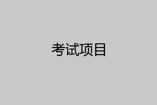 考试项目
