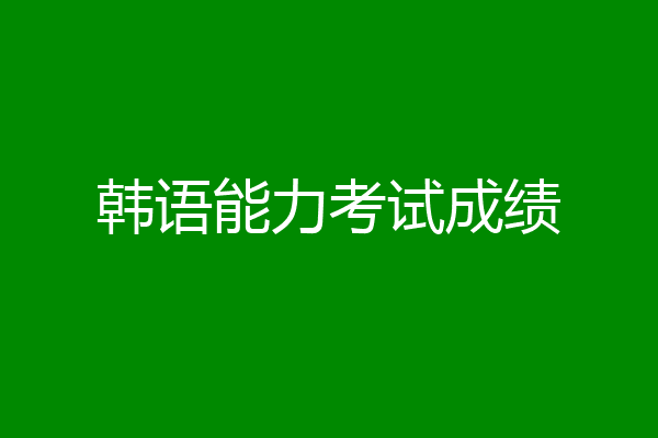 韩语能力考试成绩