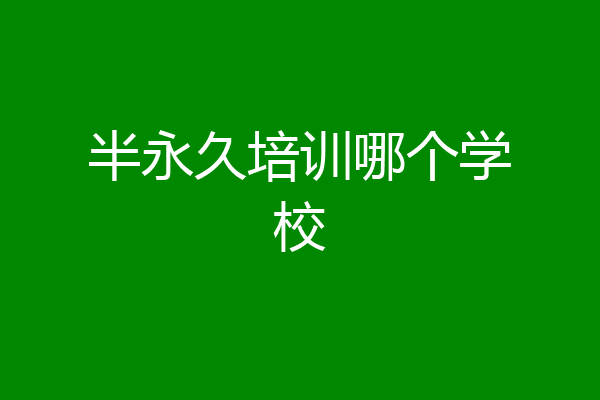 半永久培训哪个学校