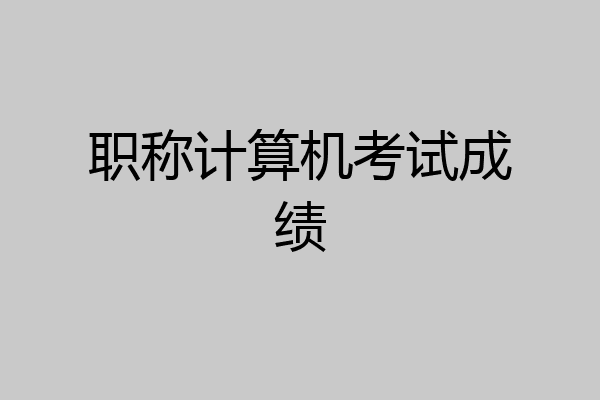 职称计算机考试成绩