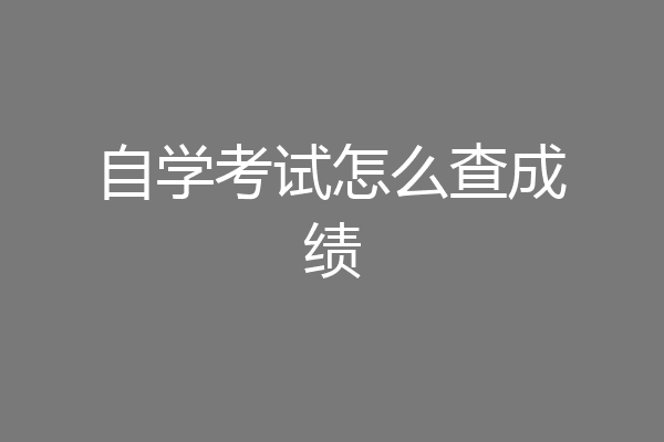 自学考试怎么查成绩